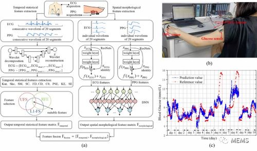 深圳先進院在基于生理信息的無創(chuàng)血糖監(jiān)測技術(shù)方面取得新進展